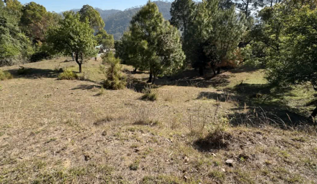 Ambiwala, Uttarakhand 248007, India