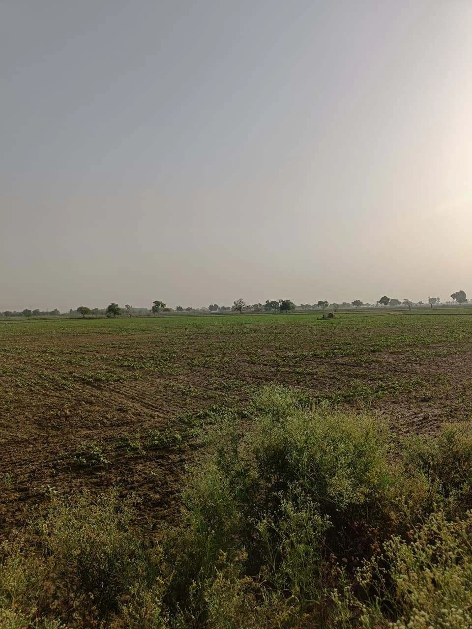 Tentigaon, Uttar Pradesh, India