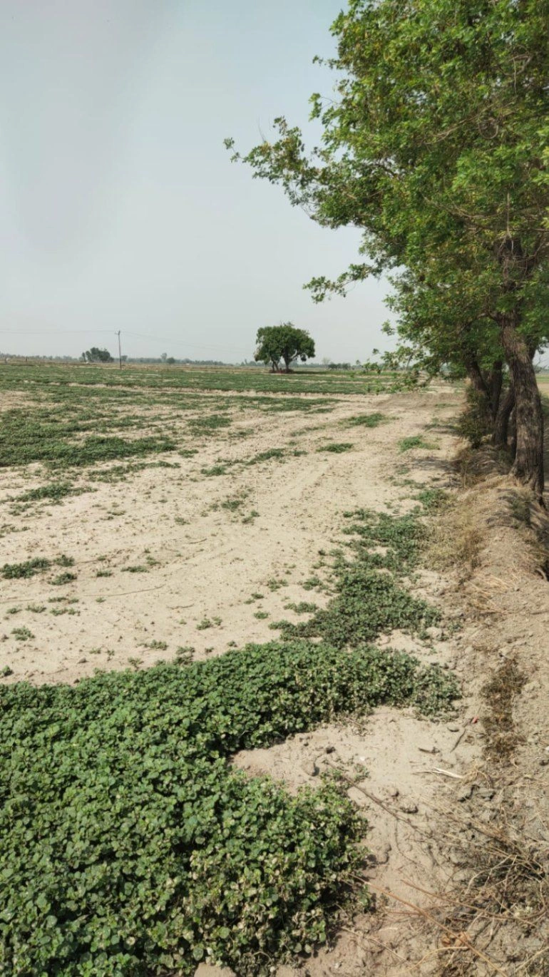 Ajijpur, Uttar Pradesh, India