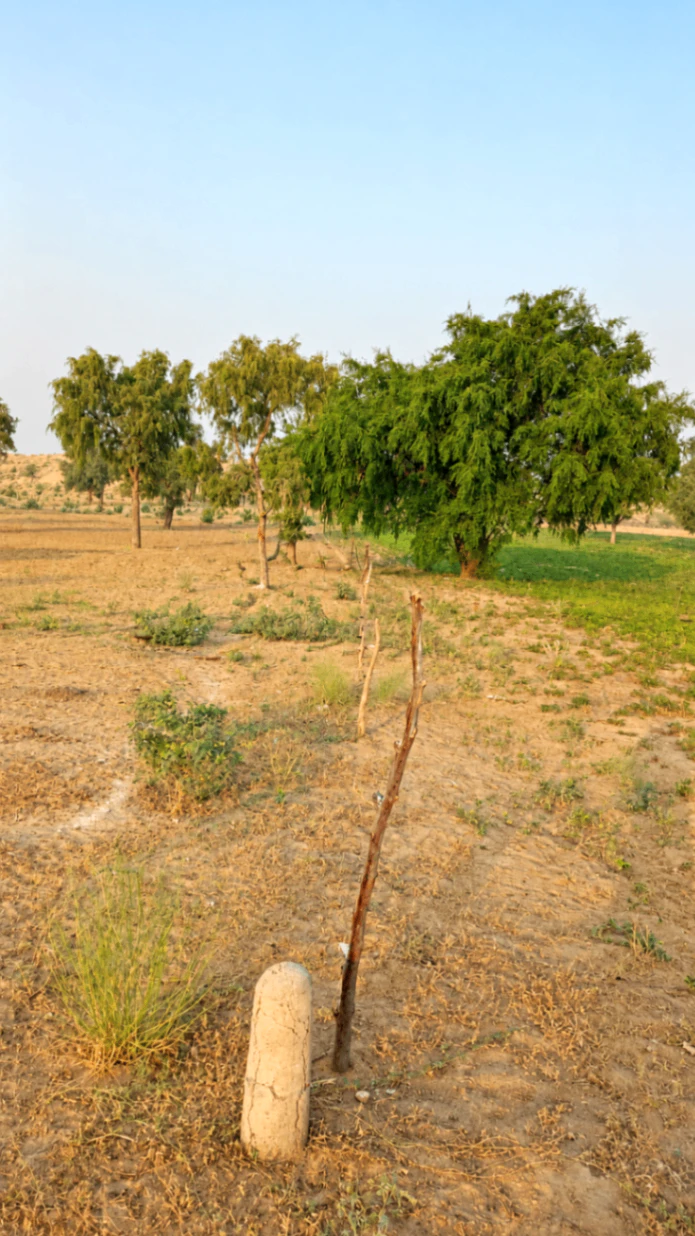 NH 911A, Bikaner, Poogal, Rajasthan 334808, India