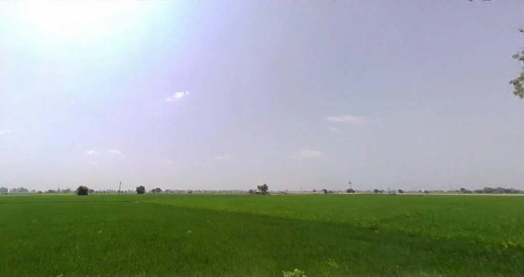 MXHW+9F2, Meerut Rd, Sector 14, Karnal, Haryana 132001, India