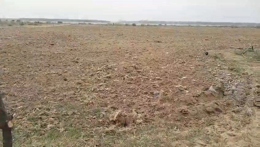 Chhechhar, Chhattisgarh 493344, India