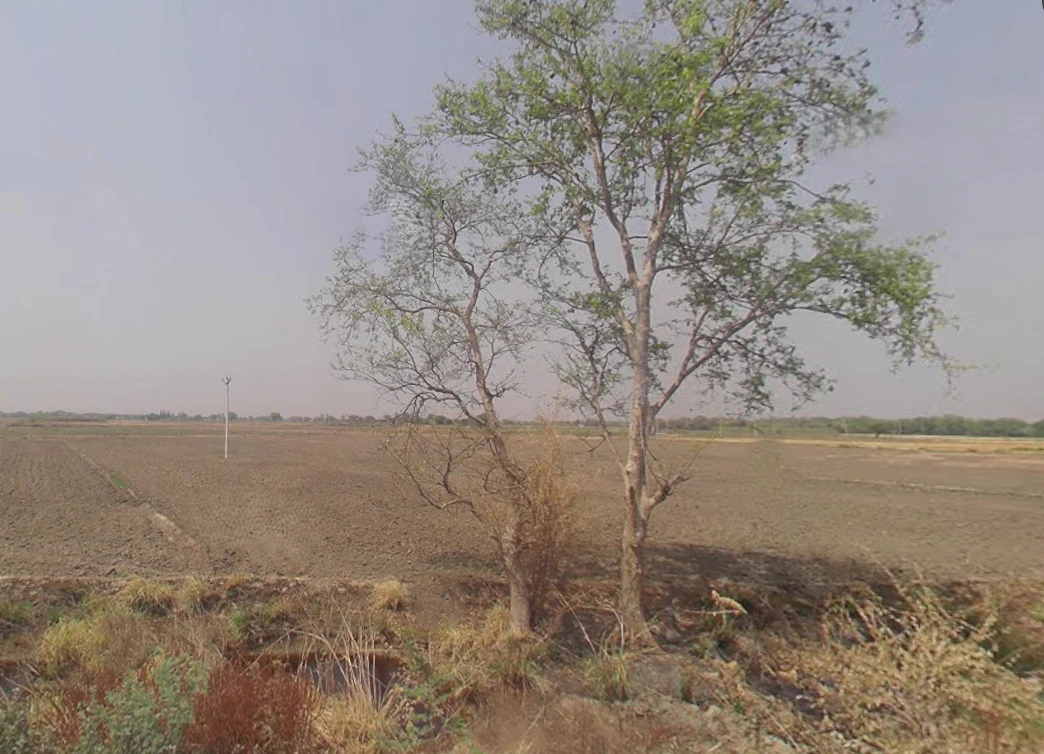 Khurja, Uttar Pradesh 203131, India