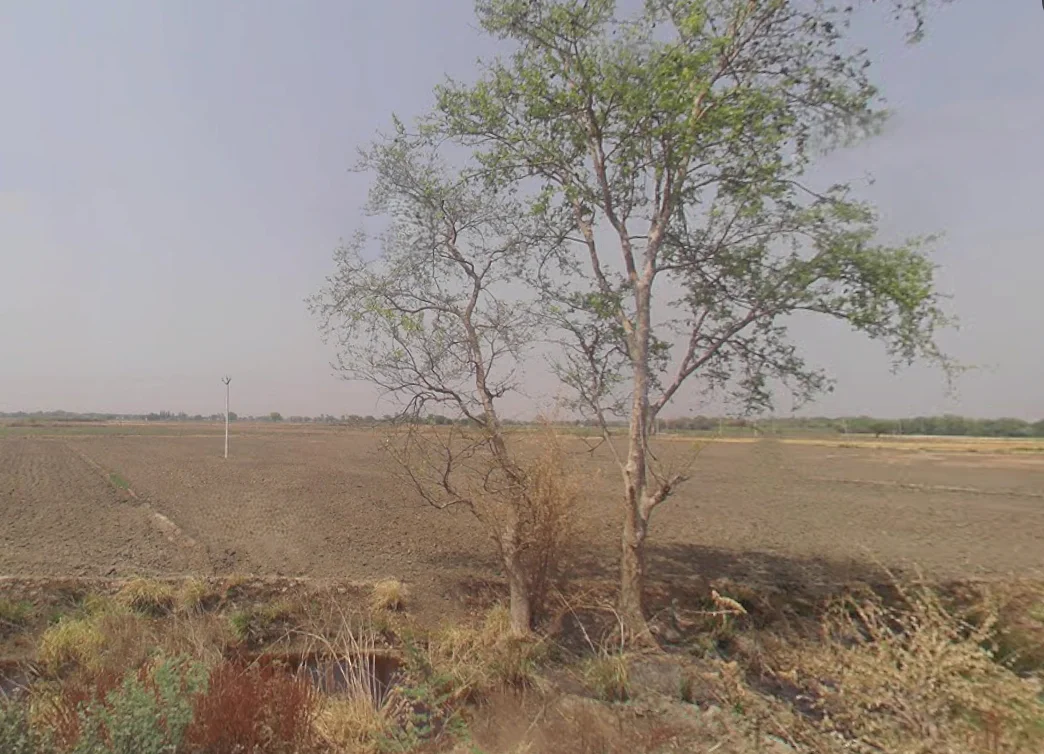 Khurja, Uttar Pradesh 203131, India preview 2