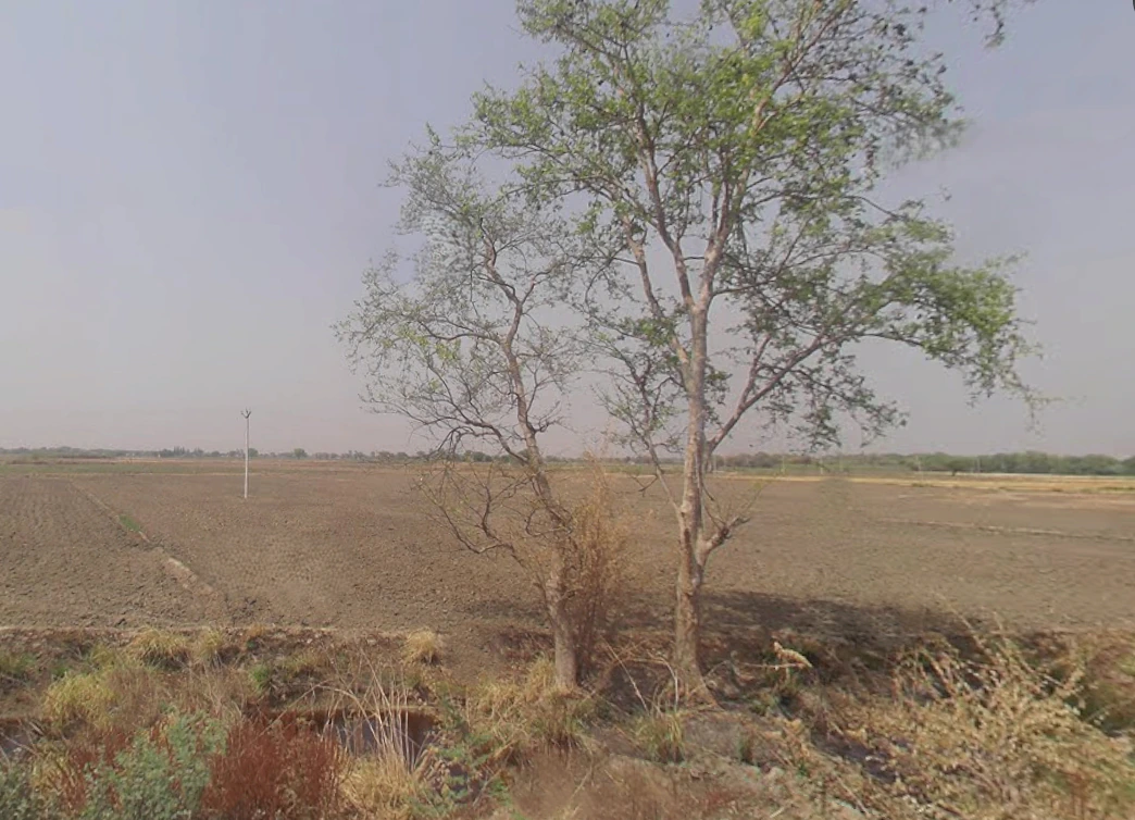 Khurja, Uttar Pradesh 203131, India