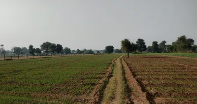 Bhadson Rd, Ranjit Nagar, Patiala, Punjab, India preview 3