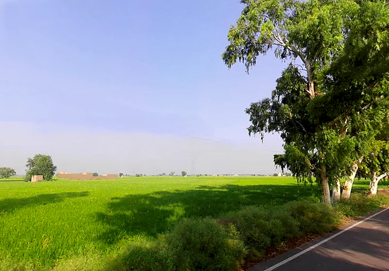 Sirsa - Ellenabad Rd, Mallekan, Haryana 125055, India preview 3