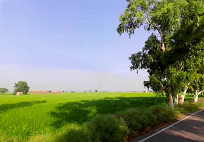 Sirsa - Ellenabad Rd, Mallekan, Haryana 125055, India preview 3