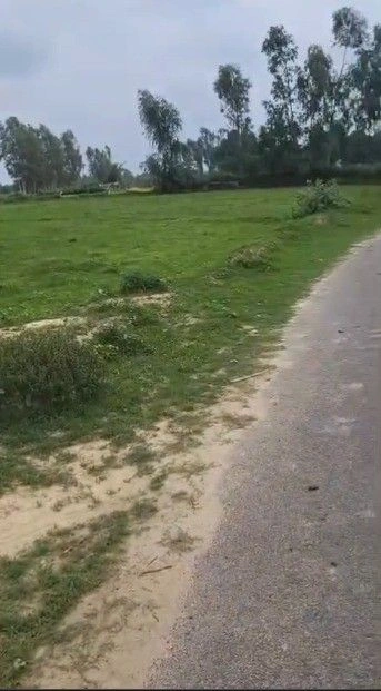 G2H6+G9W, Adhaeya, Uttar Pradesh 226302, India