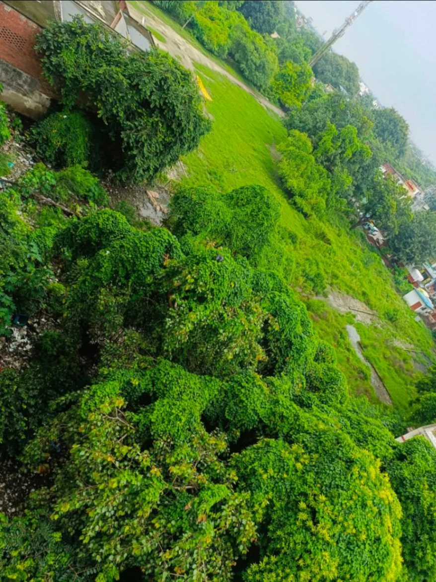 Purwa, Unnao, Uttar Pradesh, India