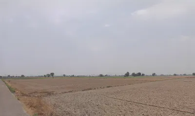 Bhora Rasulpur, Haryana, India preview 3