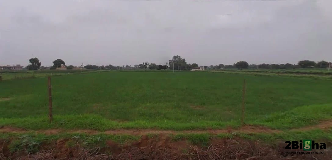 63MH+R82, Dangiyawas Bypass, chamanpura, Basni, veda, Jodhpur, Rajasthan 342005, India