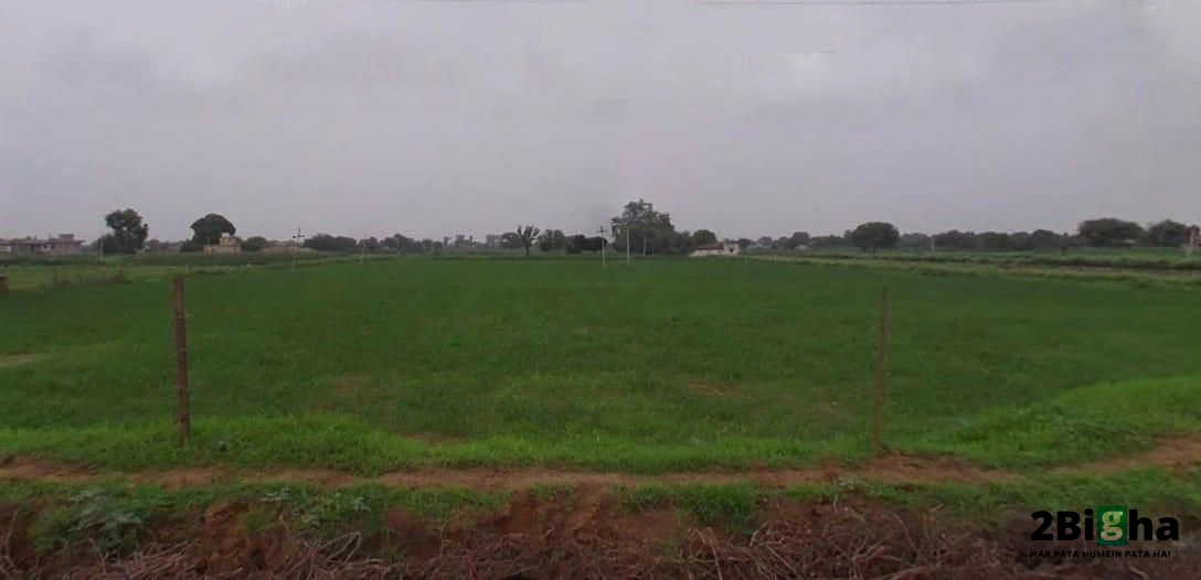 63MH+R82, Dangiyawas Bypass, chamanpura, Basni, veda, Jodhpur, Rajasthan 342005, India