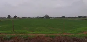 63MH+R82, Dangiyawas Bypass, chamanpura, Basni, veda, Jodhpur, Rajasthan 342005, India preview 2