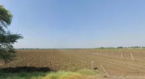 Adampur, Madhya Pradesh 461331, India preview 2