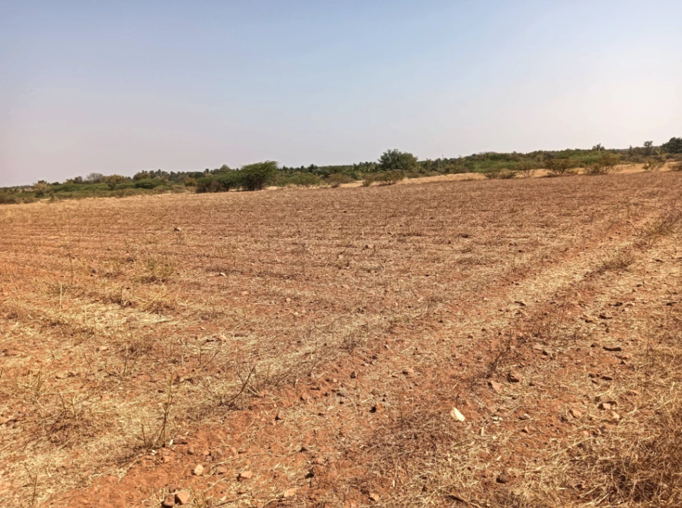 Sira, Karnataka 572137, India