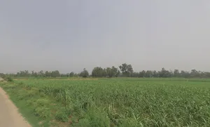 Ground Floor Mamudpur, Naihati, Bora, Mamudpur, West Bengal 743166, India preview 2