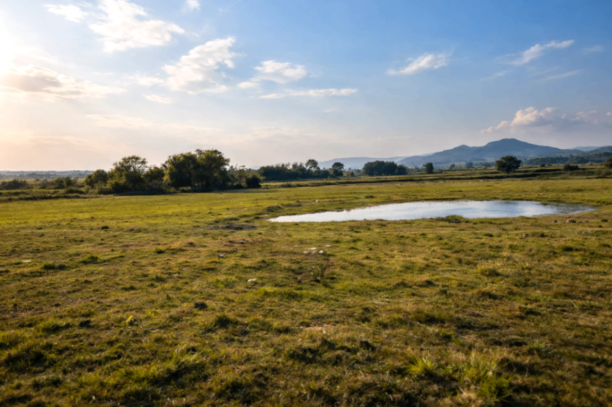 Rudreswar, Assam, India
