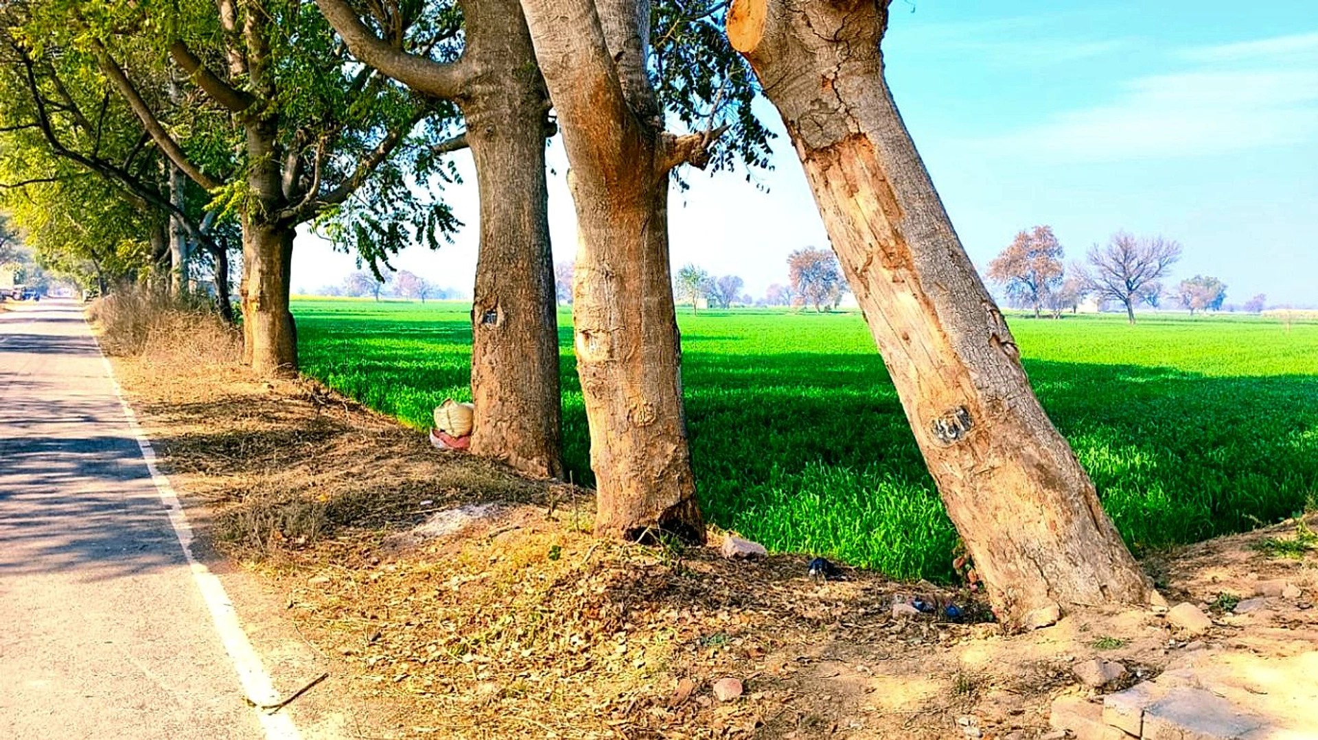 Narain Khera, Haryana 125110, India