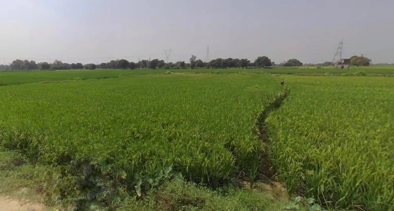 Jaisalmer, Rajasthan 345001, India preview 2