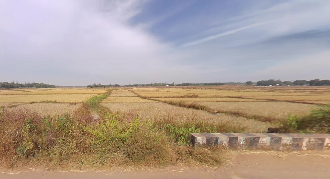 Saguna, West Bengal, India