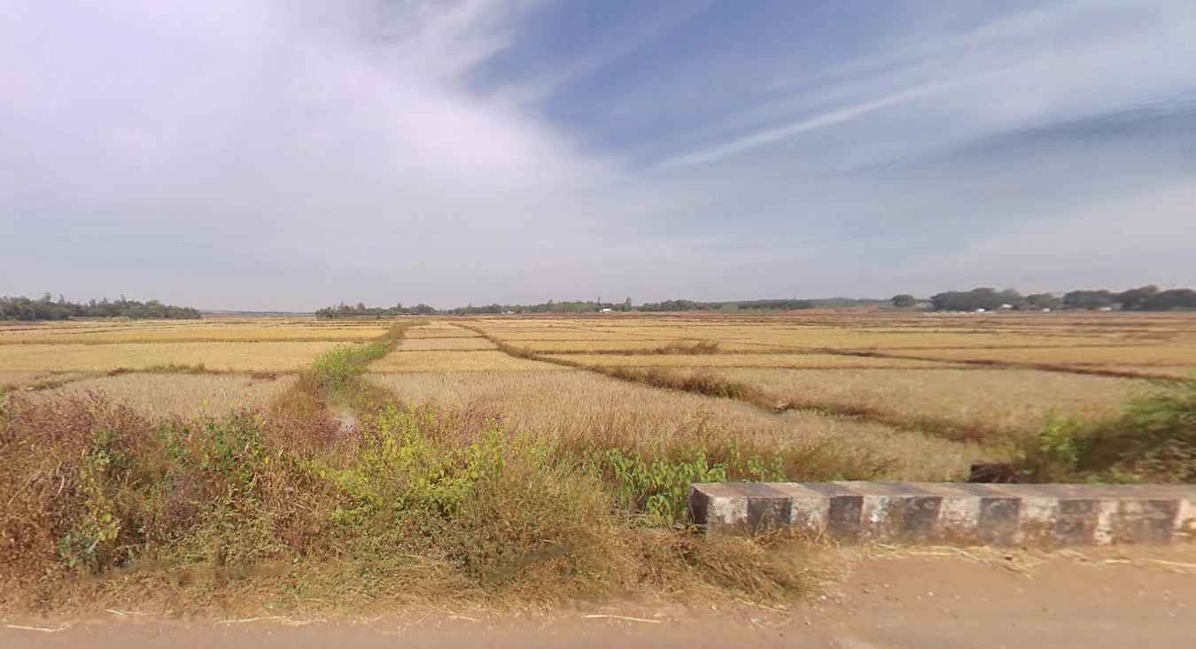 Saguna, West Bengal, India