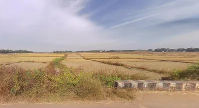 Saguna, West Bengal, India preview 3