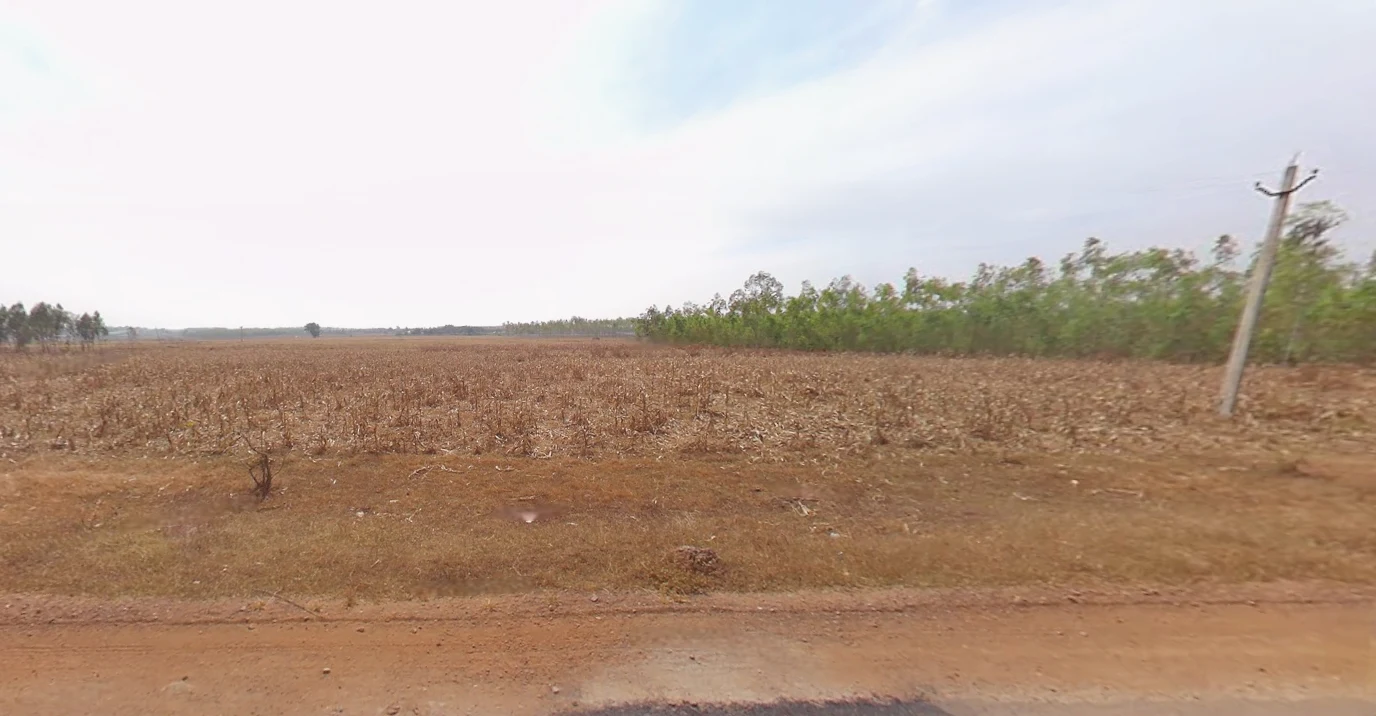 Birohi, Shitalatala, West Bengal 741245, India