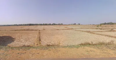 Ashoknagar, West Bengal, India preview 3