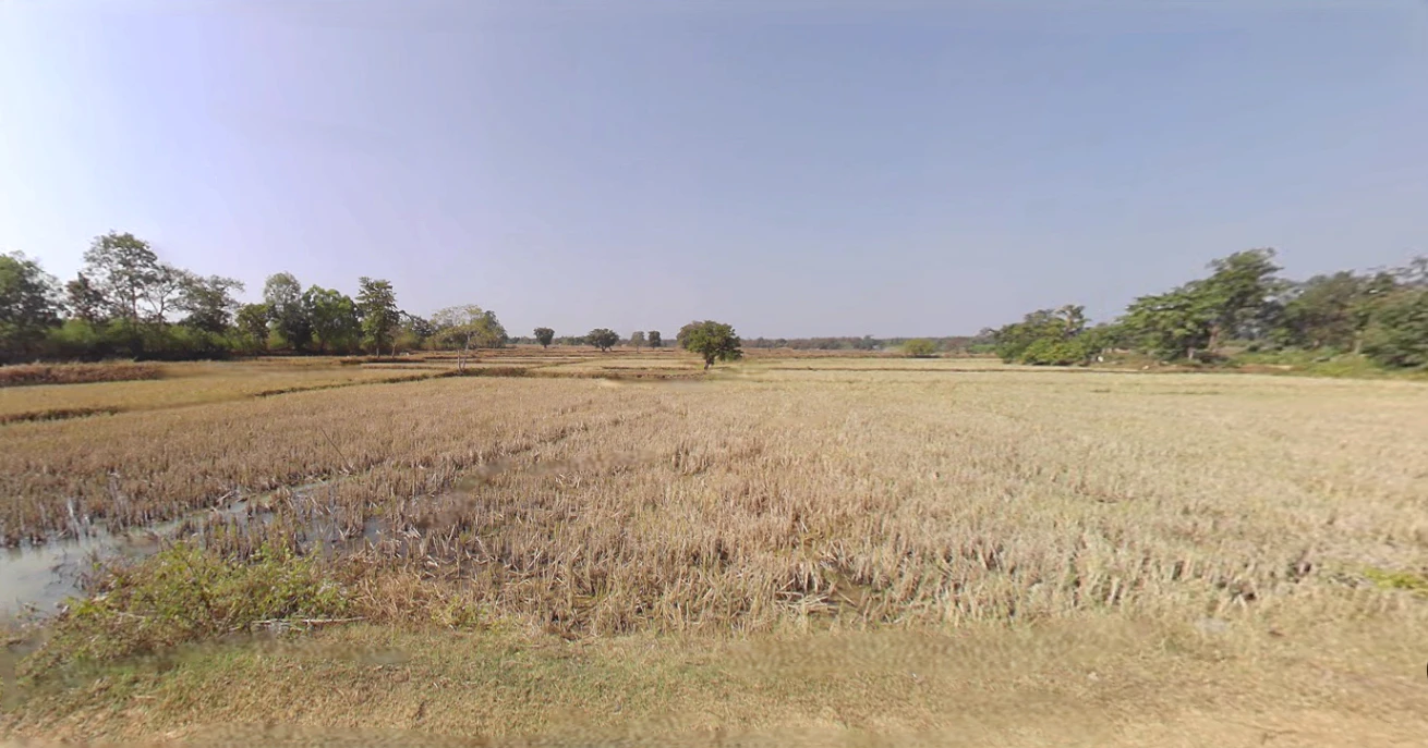 Thekkil, Kerala, India