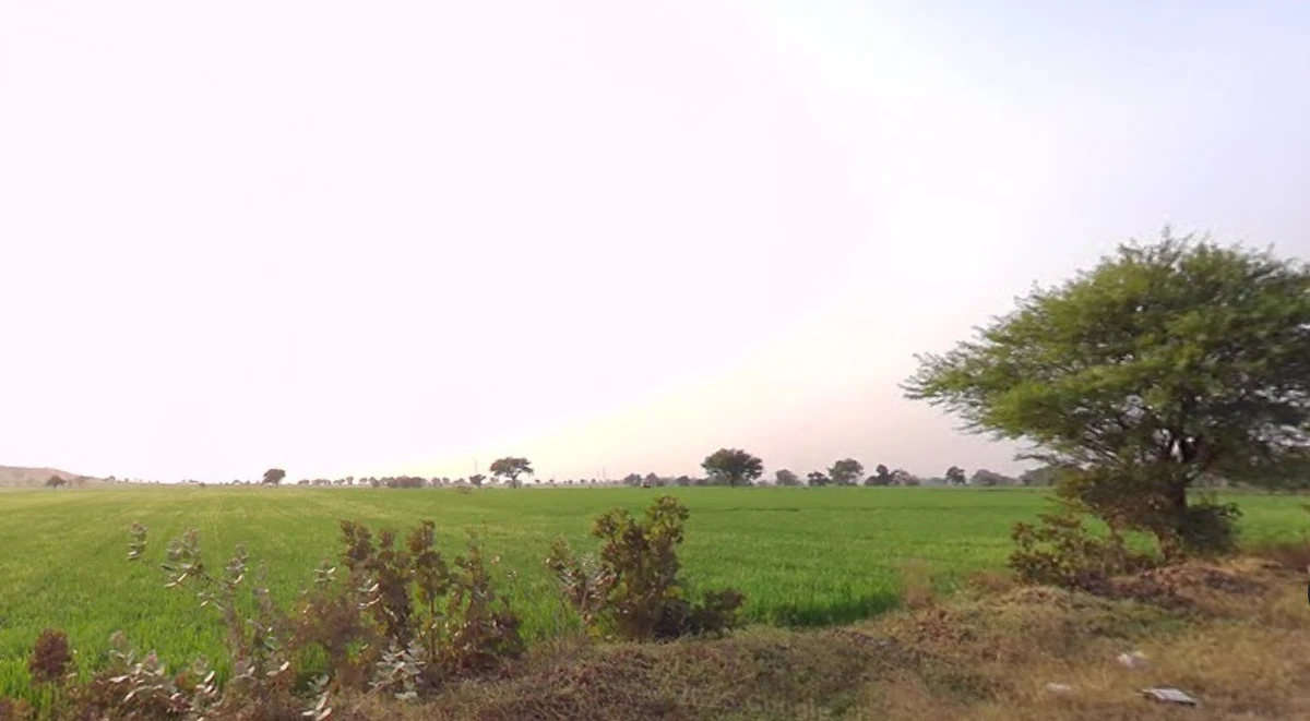 Kuwariya, Madhya Pradesh, India