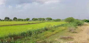 Barnagar, Madhya Pradesh 456771, India preview 3