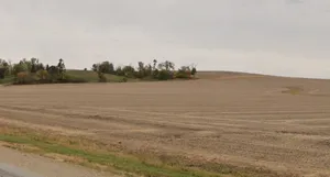 Ambachandan, Madhya Pradesh, India preview 2