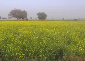Bichpuri, Uttar Pradesh 283105, India preview 3