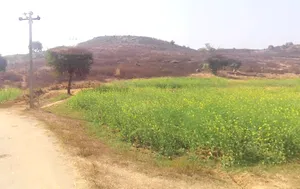 Pagar, Uttar Pradesh 231211, India preview 2
