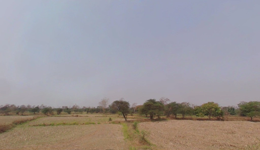 Ghorbhatt, Chhattisgarh 493225, India