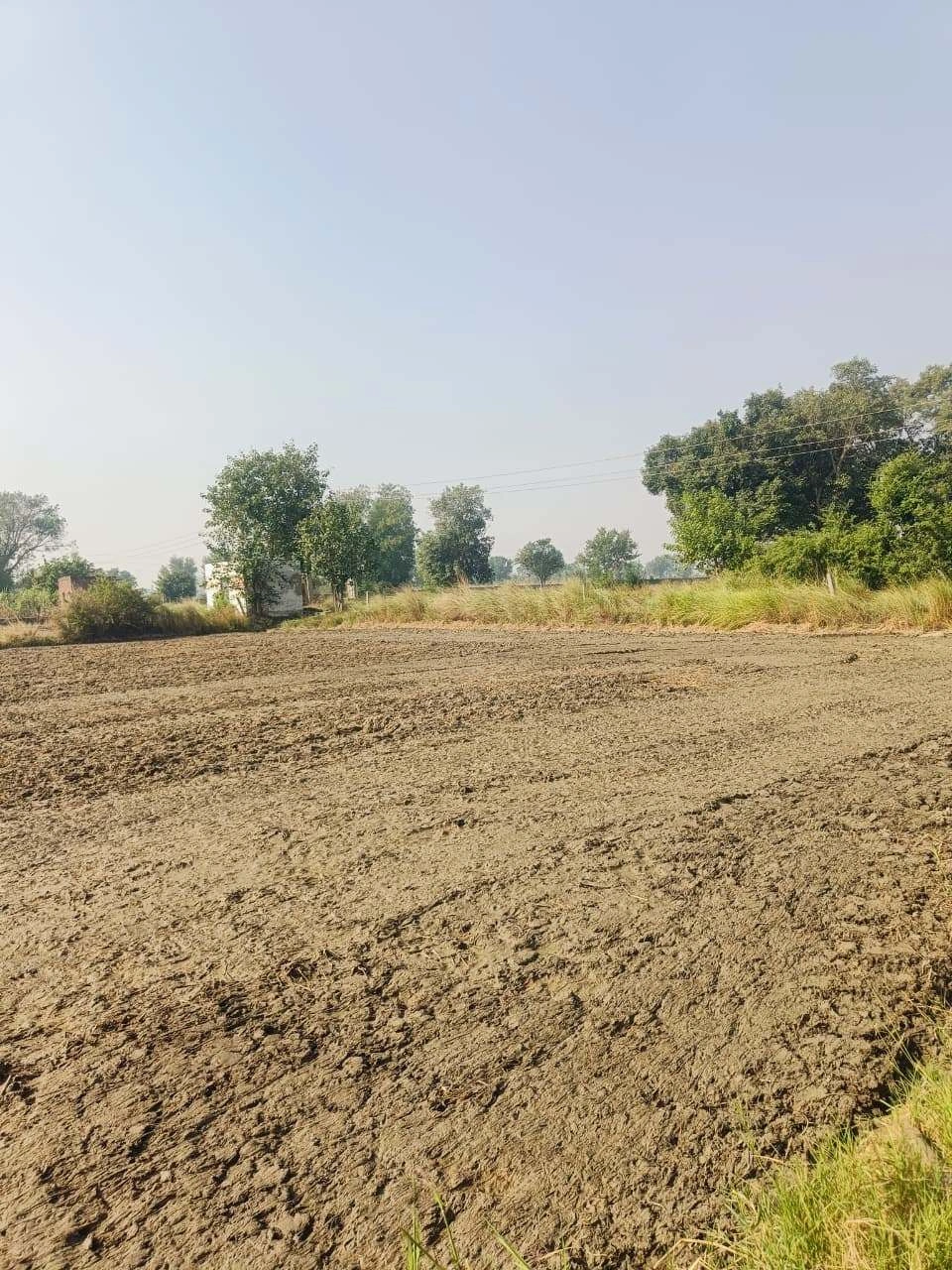 Basai, Mathura, Uttar Pradesh 281501, India