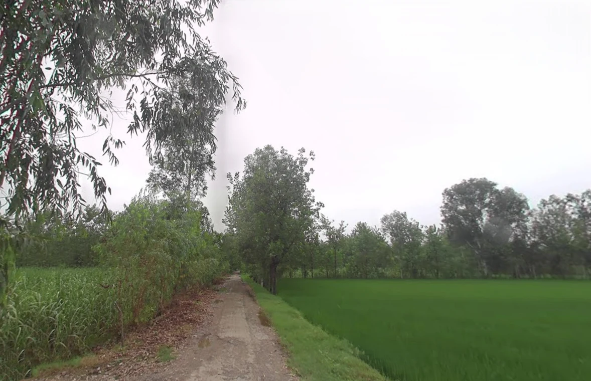 Mirganj, Uttar Pradesh 243504, India