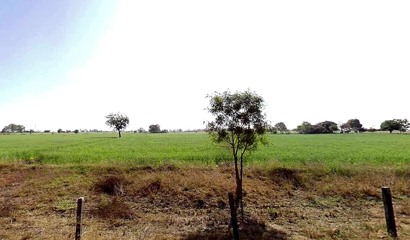 Agar, Madhya Pradesh 465441, India preview 2