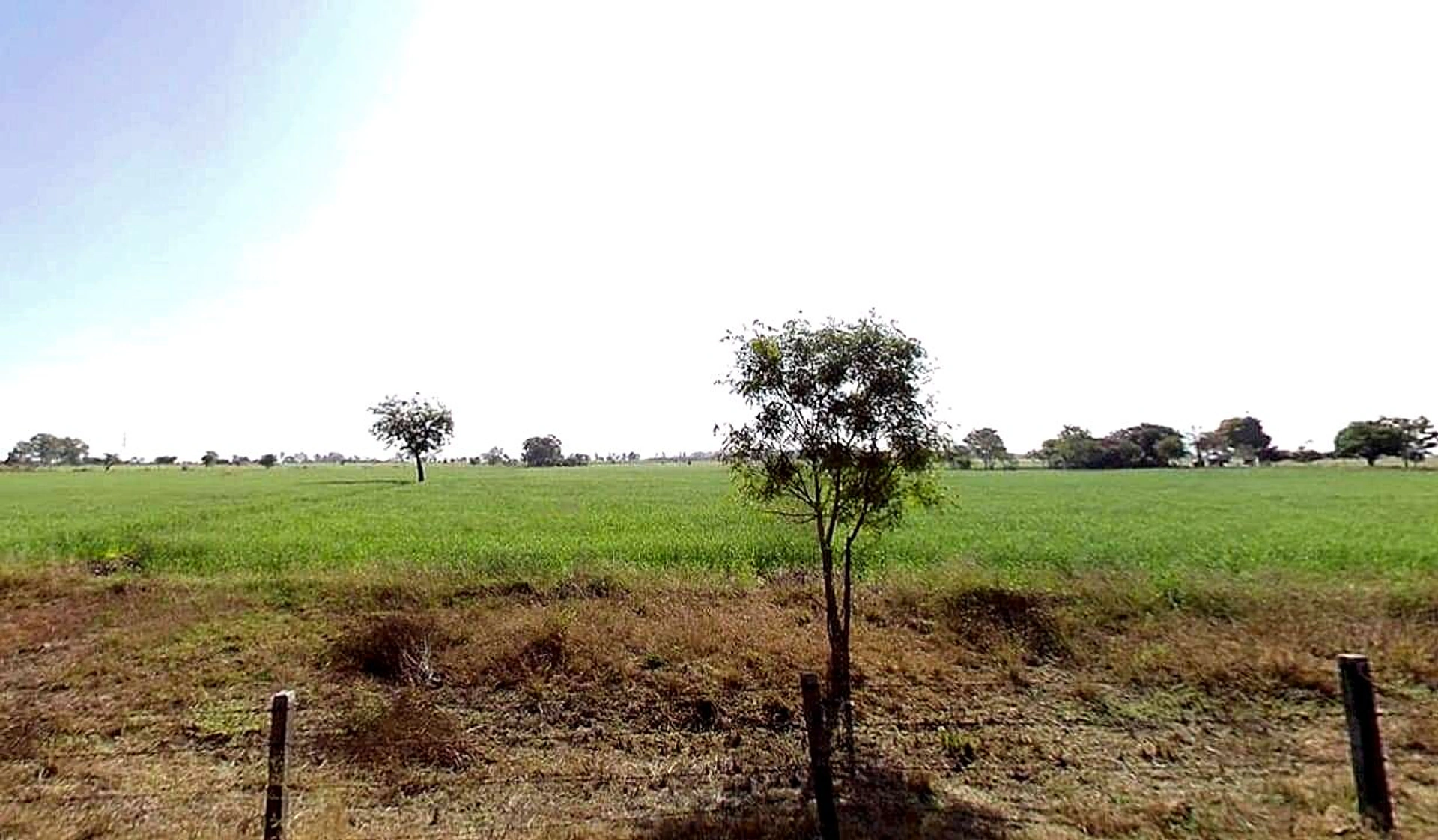 Agar, Madhya Pradesh 465441, India