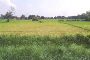 69JQ+M56, Bahadurgarh, Barai Garh, Uttar Pradesh 209401, India preview 3