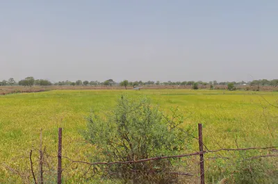 Kanharpuri, Chhattisgarh 493449, India preview 2