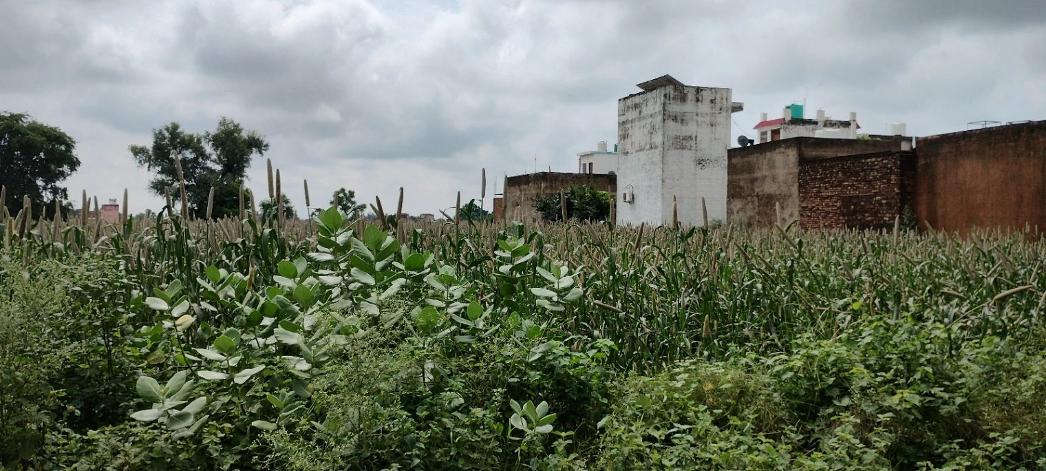 Barodameo, Rajasthan 301021, India