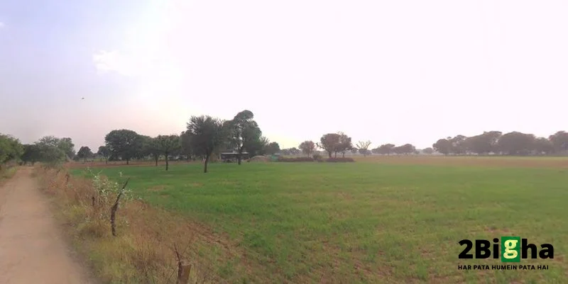 Dhodhsar, Rajasthan 303712, India preview 3