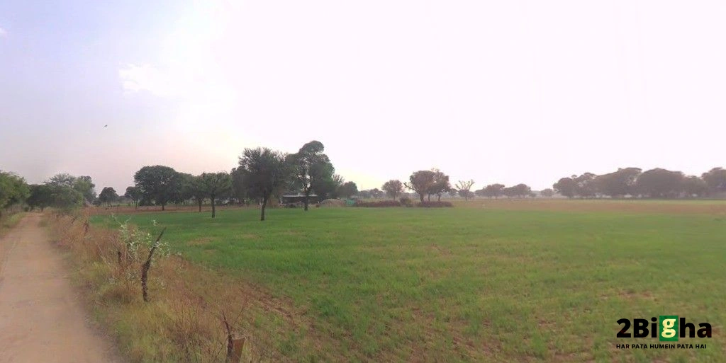 Dhodhsar, Rajasthan 303712, India