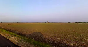 Dhanfuliya, Gujarat 362205, India preview 3