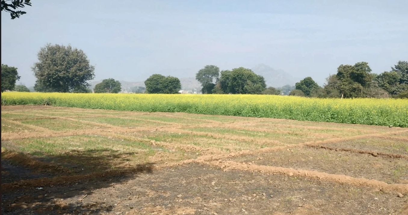 Sarai Banjara, Punjab 140402, India