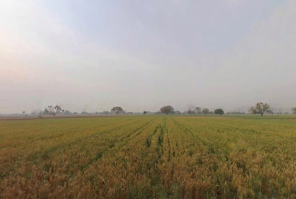 JJMJ+QFF, Ulaheri, Rajasthan 301023, India preview 2