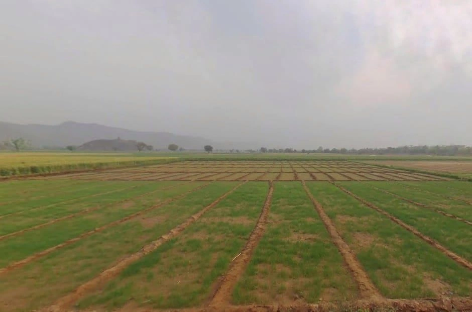 JJHP+C7V, Jahar Khera, Ulaheri, Rajasthan 301001, India