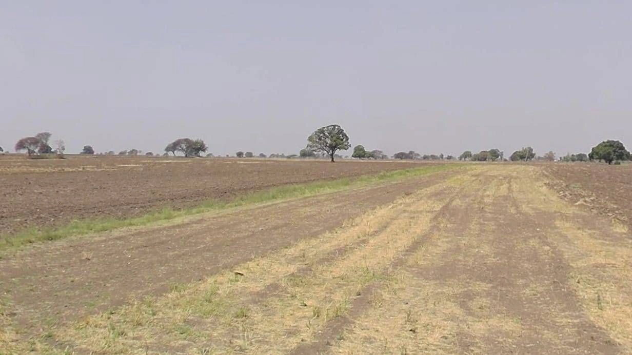 Dunalja, Madhya Pradesh 456337, India